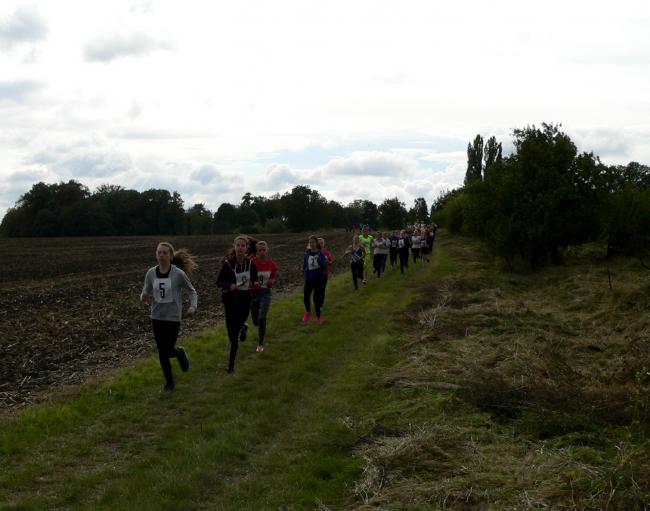 P1520400.jpg