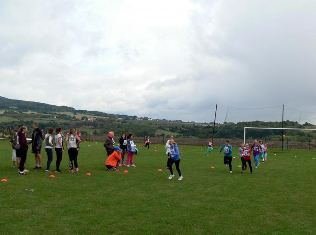 P1520376.jpg