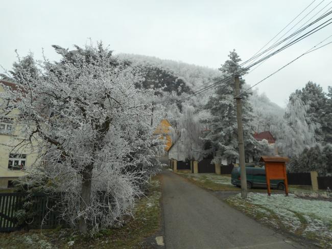 DSCN1498.jpg