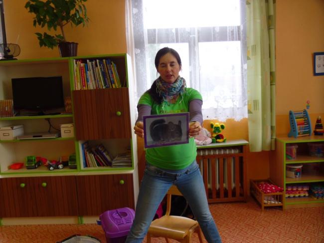 3b 071.jpg