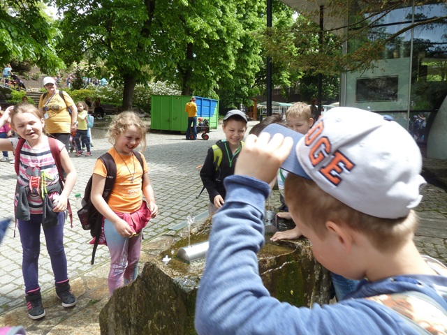 P1090487.JPG