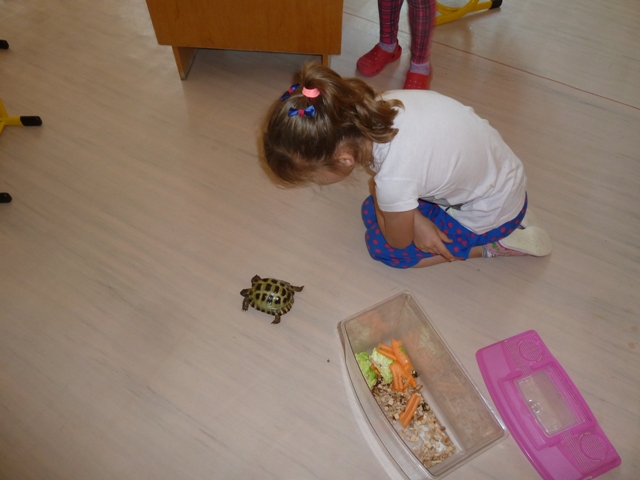 P1090546.JPG
