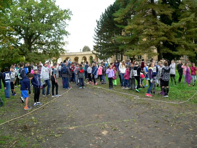 P1540388.jpg