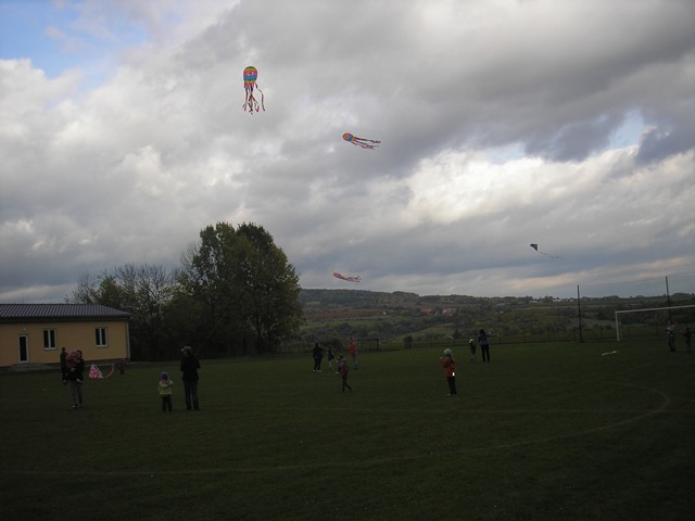 P1012639.JPG