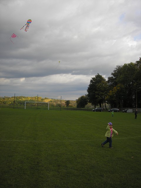 P1012628.JPG