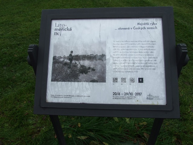 DSCF7282.JPG