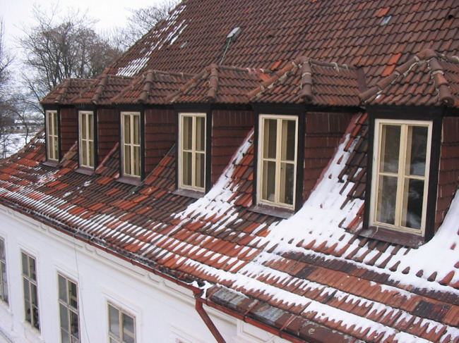 Porn cvien 088.jpg