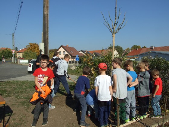 DSCF8617.JPG