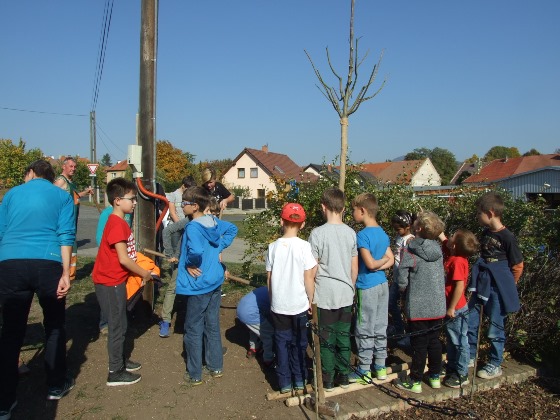 DSCF8616.JPG