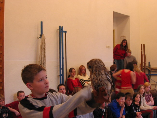 Snmek 063.jpg