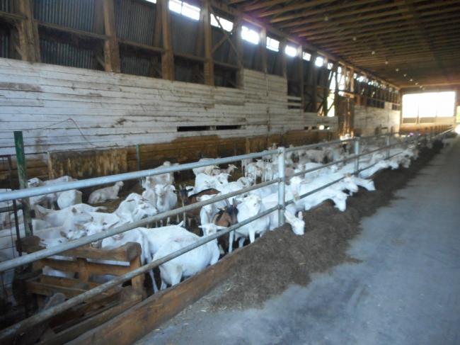 DSCN2138.JPG
