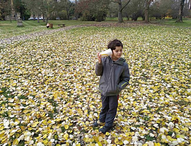 IMG_20191115_134115.jpg