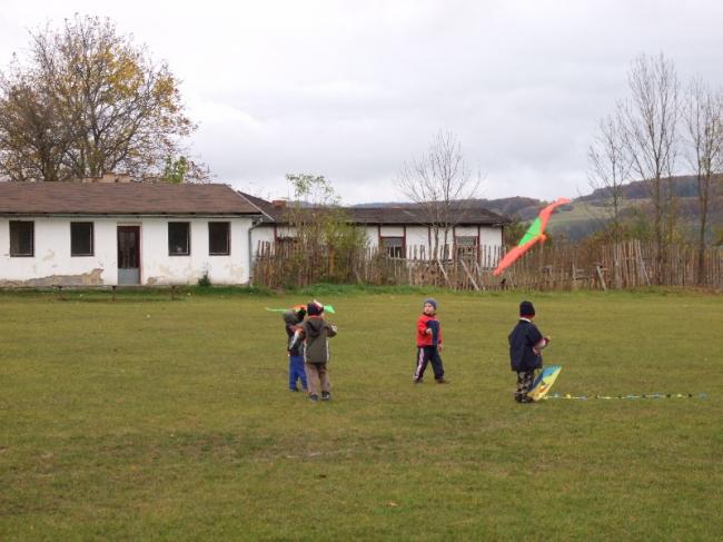 DSCF4782.jpg