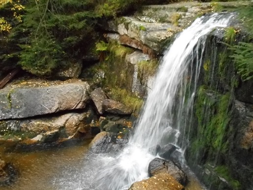 DSCN2397.JPG