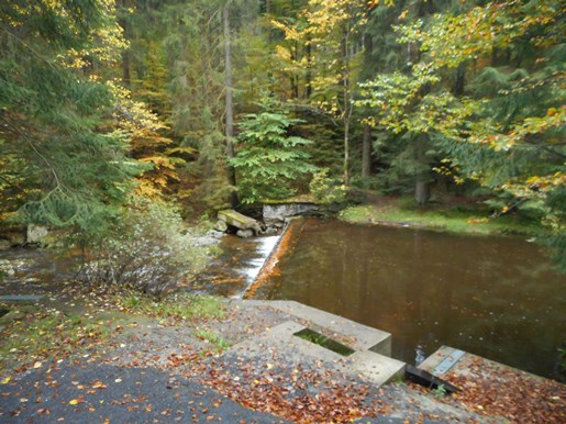 DSCN2374.JPG
