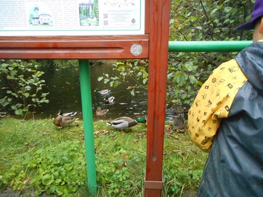 DSCN2388.JPG