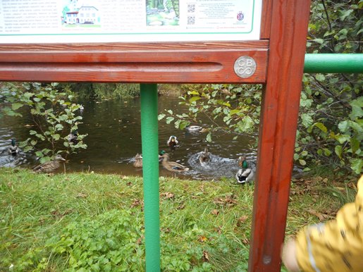 DSCN2389.JPG