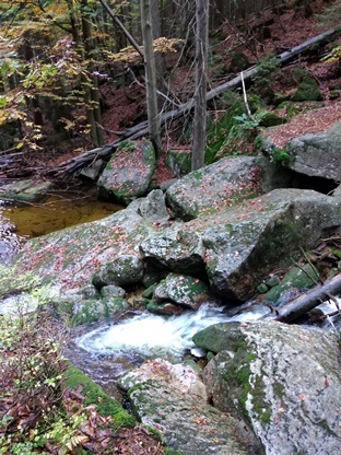 IMG_20201013_171135.jpg