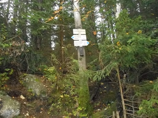 DSCN2401.JPG