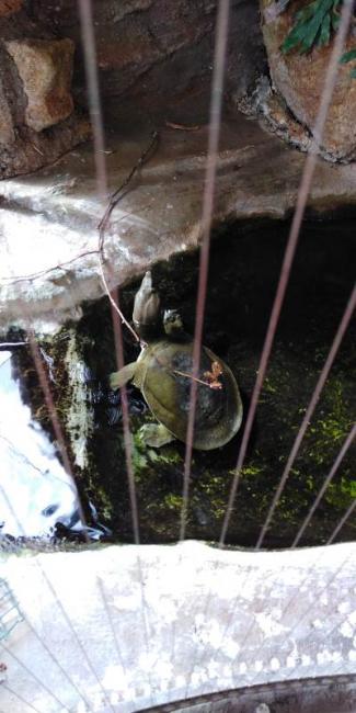 IMG-20230720-WA0016.jpg