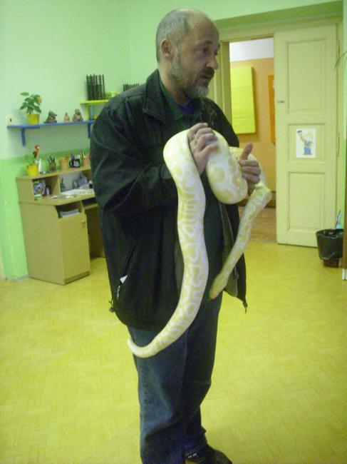 Ocelot  a krajta v MŠ 002.jpg
