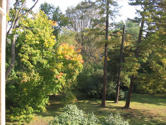 12. 10. 2005 311.jpg