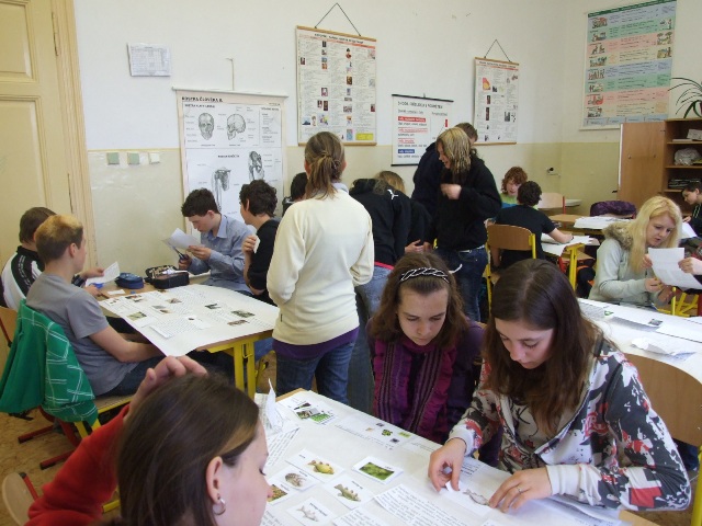 DSCF8690.jpg