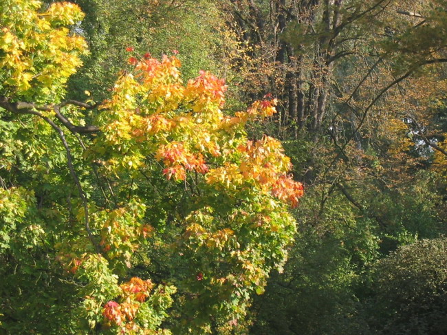 12. 10. 2005 309.jpg