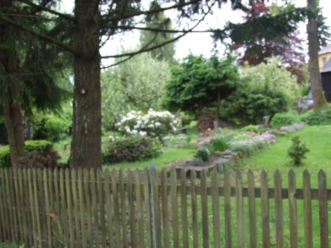 DSCF1671.jpg