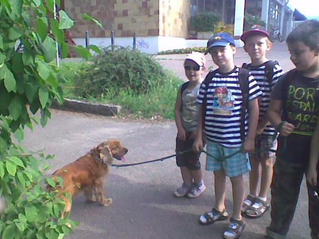 Obraz026.jpg
