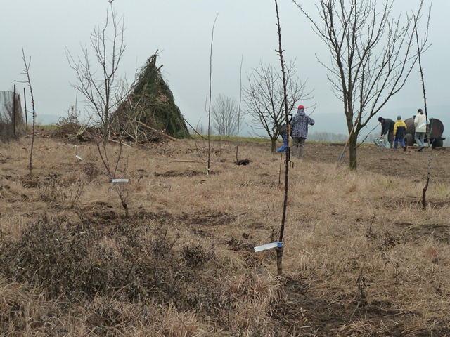 P1050277.JPG