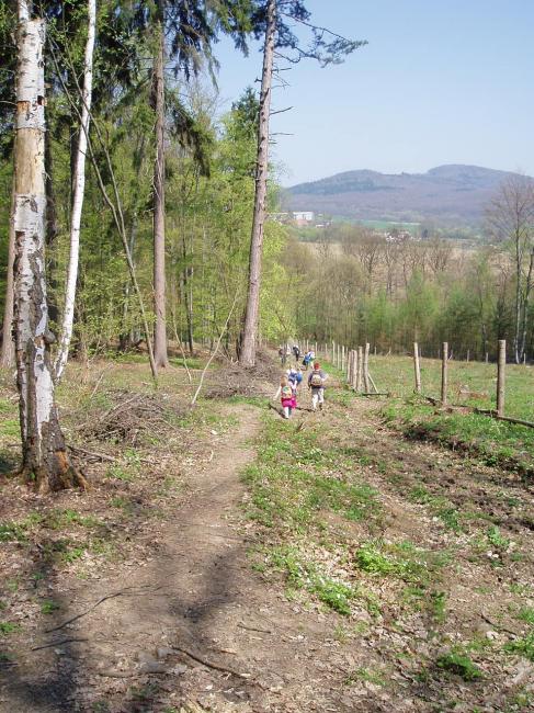 P1010106.JPG