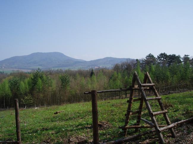 P1010105.JPG