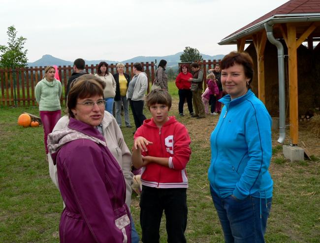 P1380564.jpg