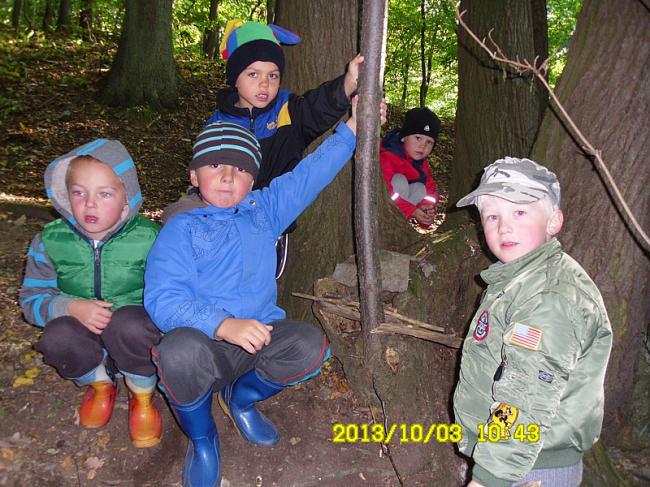 MŠ 2013 006.jpg