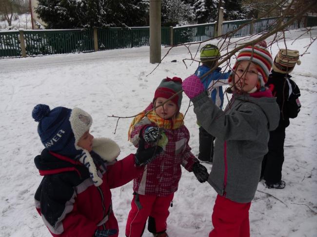 MŠ 1-2014 029.jpg