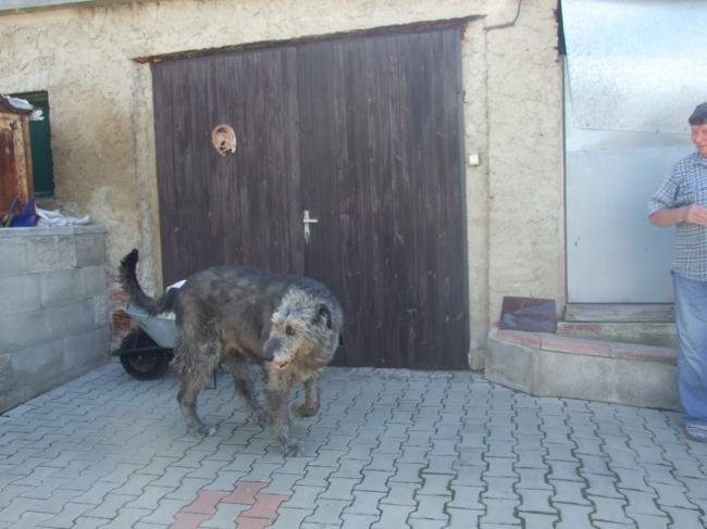 DSCF4682.jpg