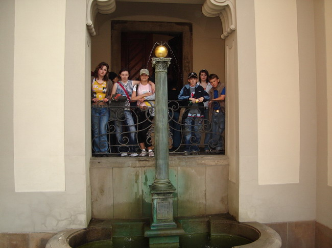 DSC01605.JPG