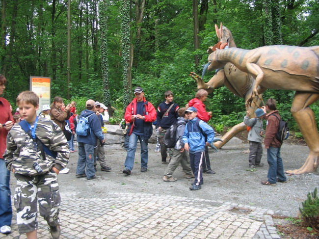 IMG_5178.jpg