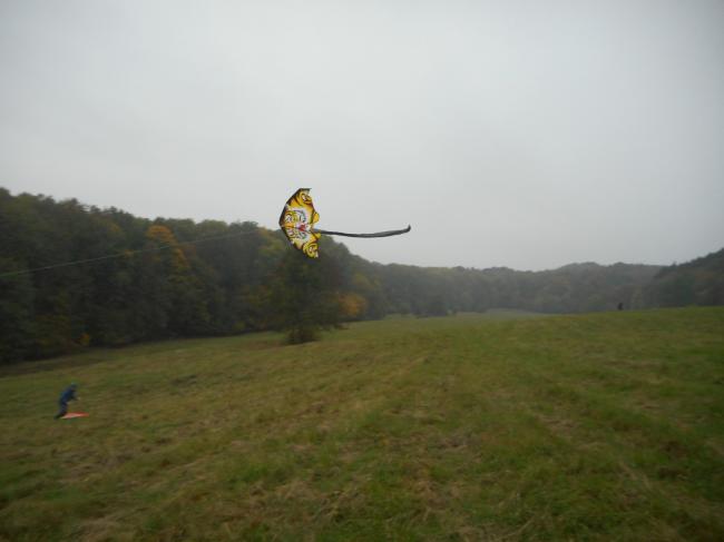 DSCN0585.jpg