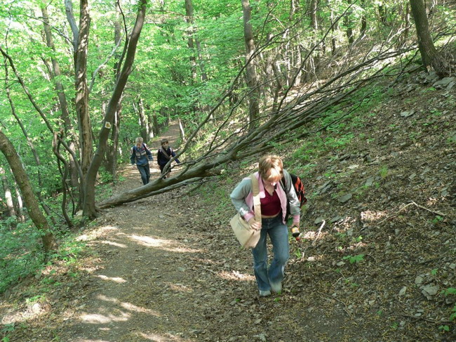 P1050200.JPG