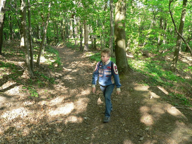 P1050198.JPG