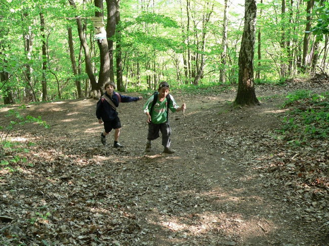 P1050199.JPG