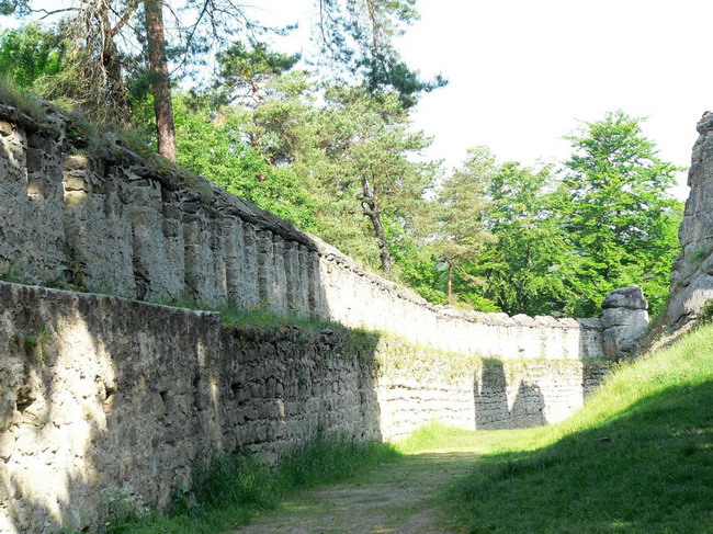 P1050850.JPG