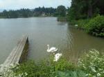 DSCN1307.jpg