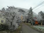 DSCN1498.jpg