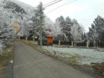 DSCN1499.jpg
