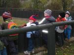 ZOO st, jen 2007 014.jpg