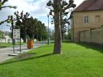 DSCF6350.JPG