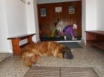 DSCN1623.JPG